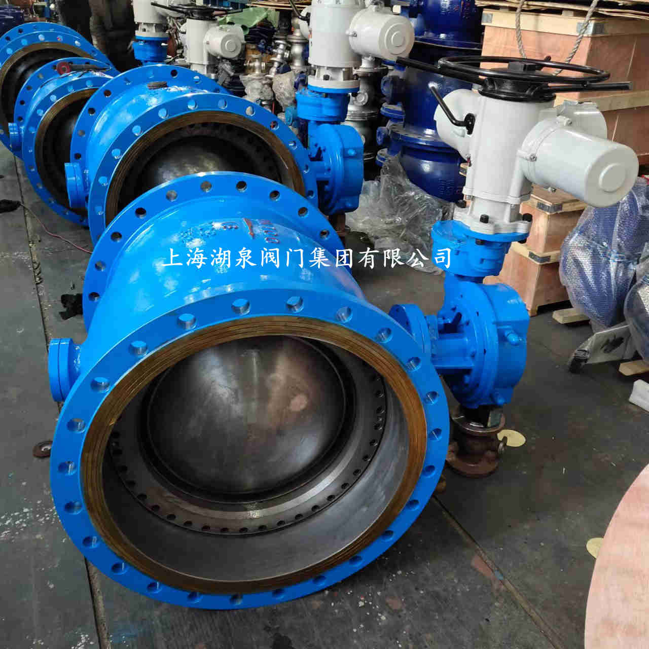 手動(dòng)大口徑偏心半球閥廠家